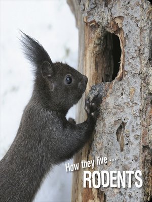 cover image of How they live... Rodents